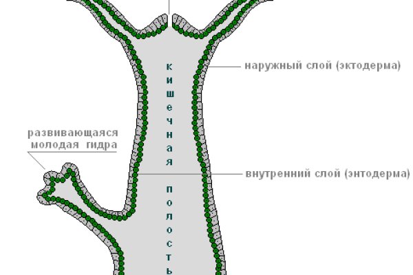 Зеркало kraken тор ссылка рабочее