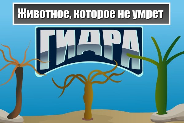 Kraken гидра